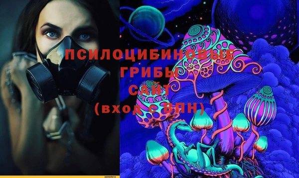 тгк Горно-Алтайск