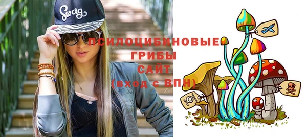 MDMA Медногорск