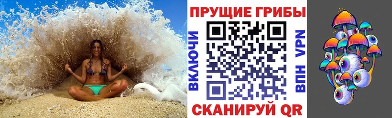 Псилоцибиновые грибы Cubensis  Реж 