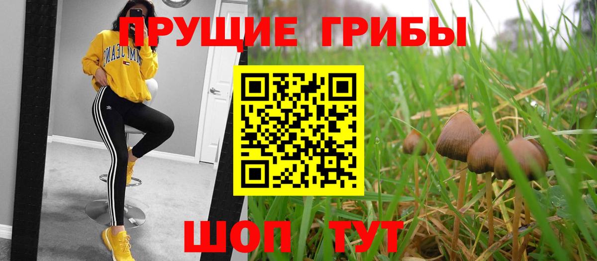 Псилоцибиновые грибы мицелий  Вход с VPN  Реж 